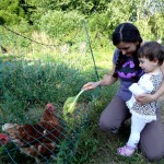 Mobiler Hühnerstall Bildung für nachhaltige Entwicklung BNE