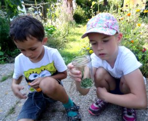 Gartenkinder – Inklusionsprojekt im Gemeinschaftsgarten Tausendschön