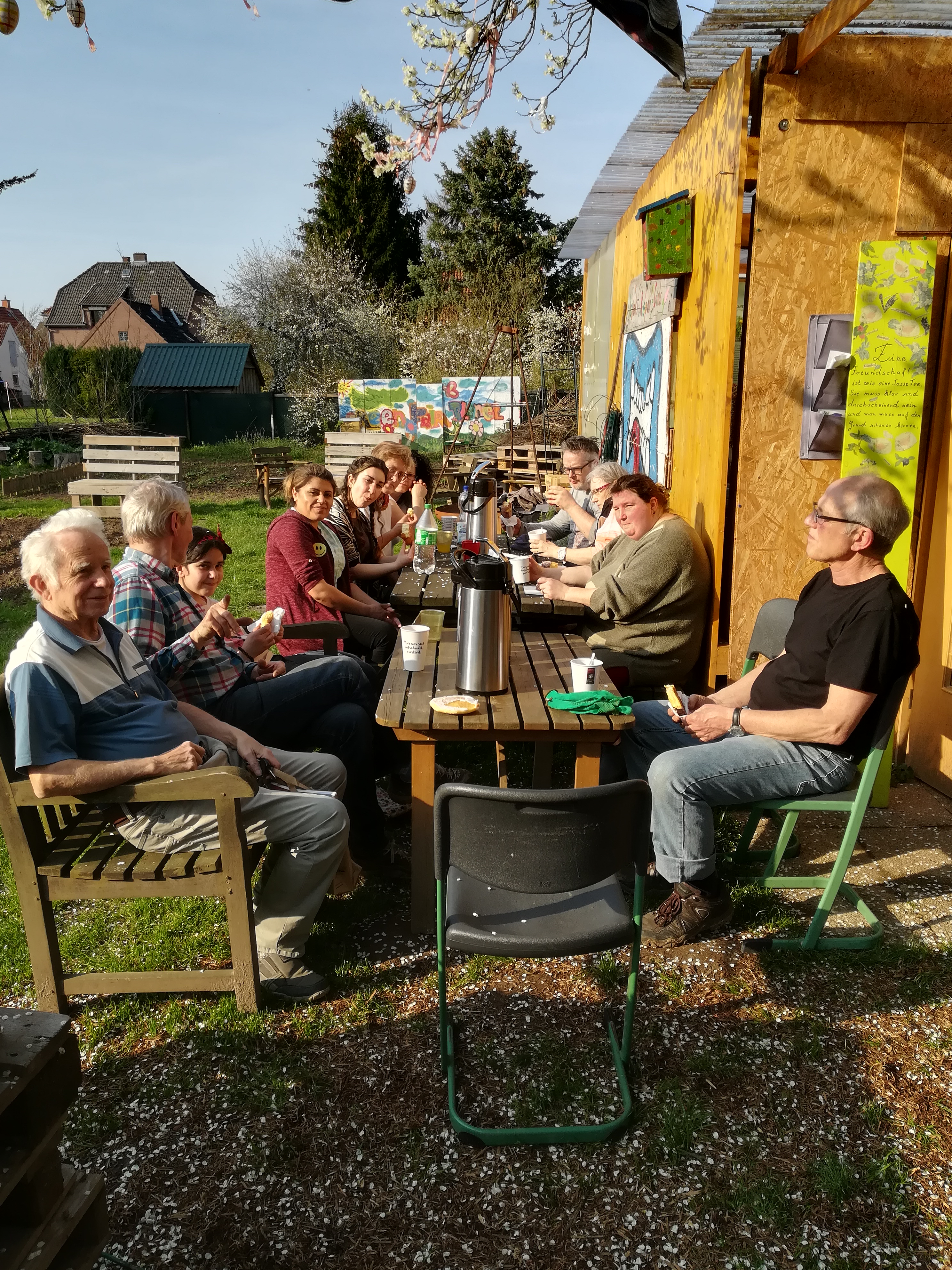 Biogarten im April Tausendschön