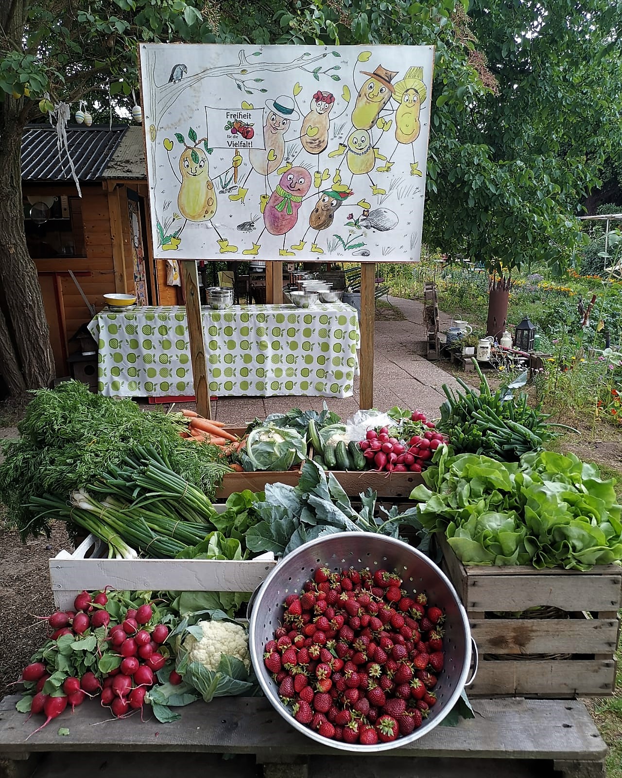 Wir teilen die Ernte Tausendschön