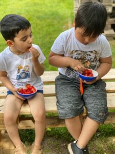 Erdbeerzeit – Naschen erwünscht